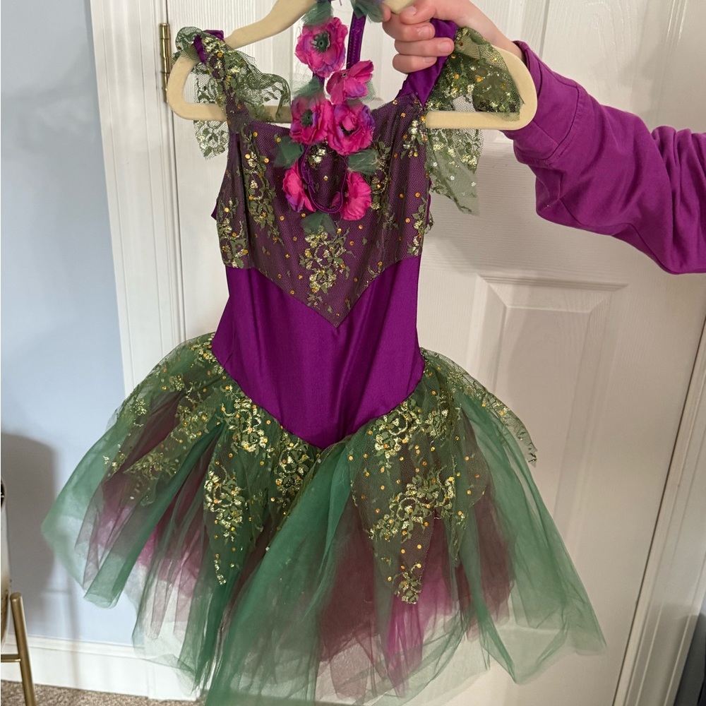 Enchanting Purple and Green Fairy Costume